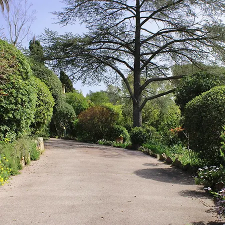 Les Beaux Jours - Vue - Piscine - Jardin - Centre Saint-Raphaël