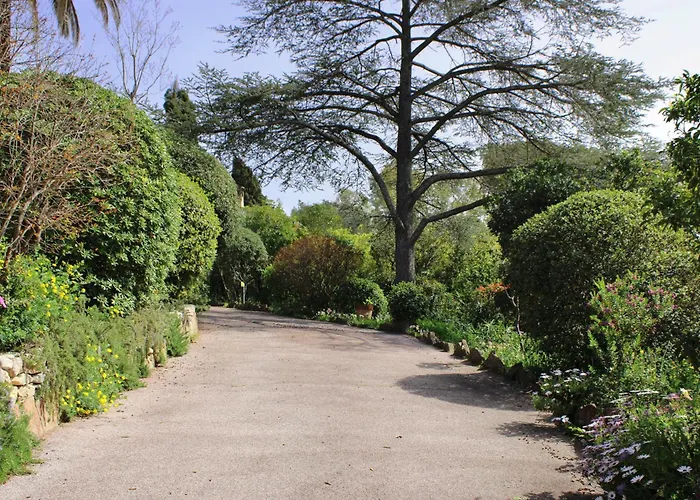 Les Beaux Jours - Vue - Piscine - Jardin - Centre Saint-Raphaël